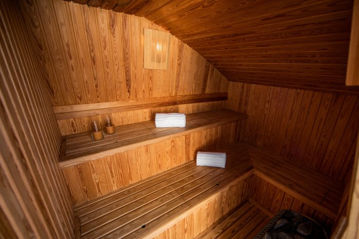 VIKING III Sauna